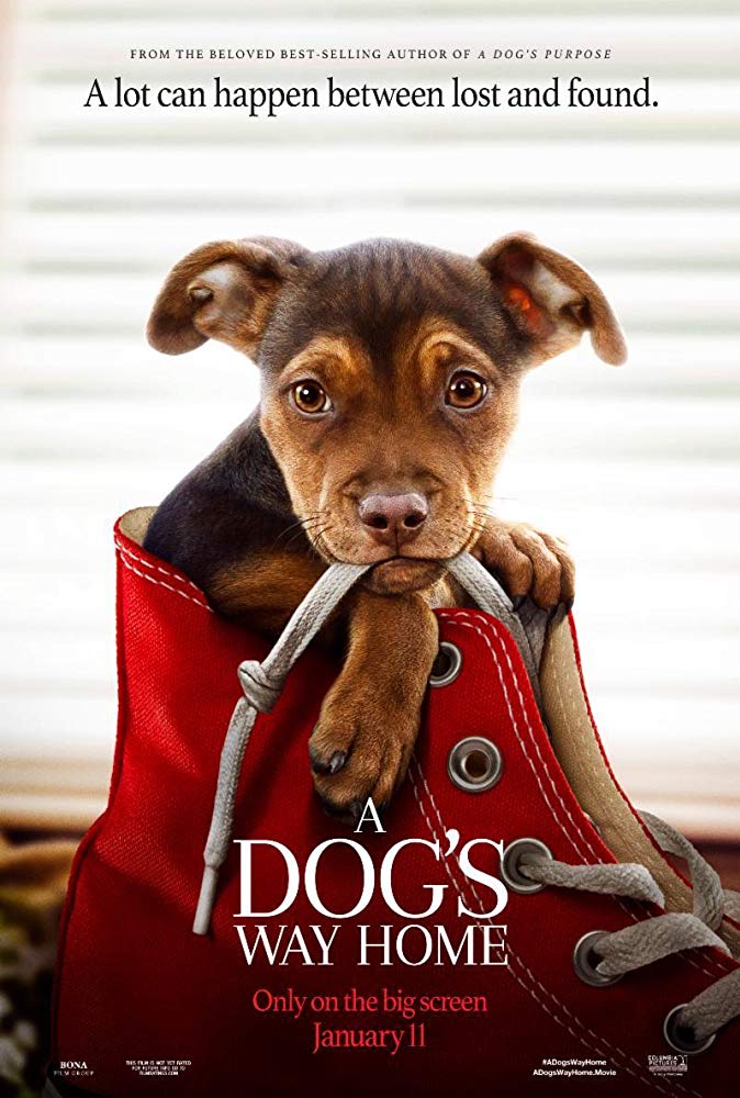 دانلود فیلم مسیر بازگشت یک سگ به خانه A Dogs Way Home 2019